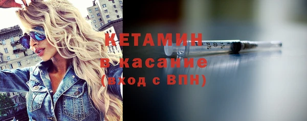 гидра Богданович