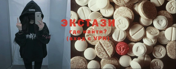 гидра Богданович