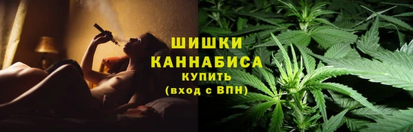 крисы Сатка