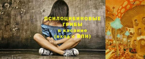 прущий лед Богородск