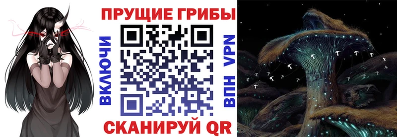 наркошоп Ессентуки Галлюциногенные грибы мицелий